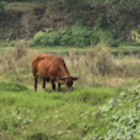 qdidiw.png?1761715681