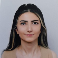 thevla.png?1762787925