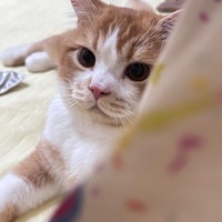 xoofrd.png?1762694670