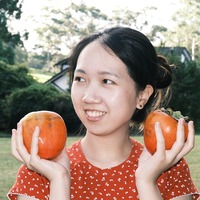 kbgsun.png?1762691718