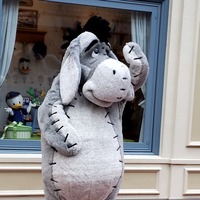 pkgogo.png?1763293579