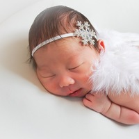 zseqbh.png?1762908799