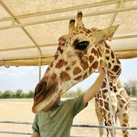 vekfqp.png?1763463933