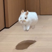 bweict.png?1764069361