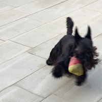 cufwor.png?1764174990