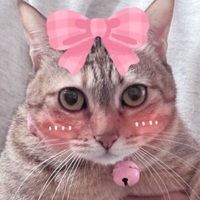 lsxybh.png?1764313729