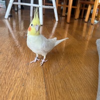 jtidtr.png?1764350223