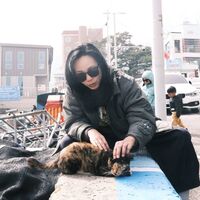 nxdwzp.png?1764554389