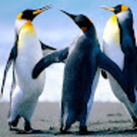 tylyta.png?1768314267