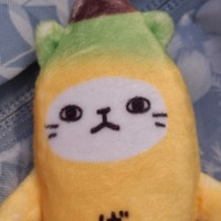 dsjfyt.png?1765035398