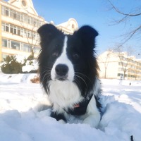 obrcfp.png?1764803136