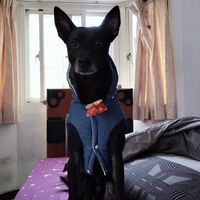 lsjdgl.png?1764992073