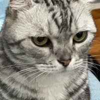 lsvbqo.png?1765084160