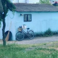 zgafmx.png?1765201703