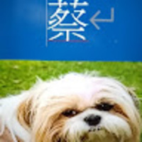 tycddt.png?1765432071