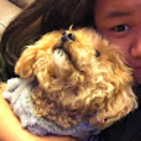 rivvum.png?1765444218