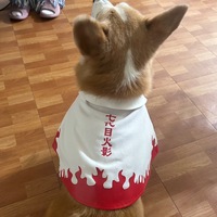 gpqnaf.png?1765675094