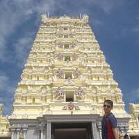 pbsowl.png?1765614696