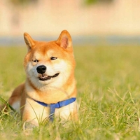 njfdkz.png?1765692077