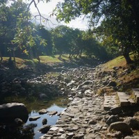 pmmsiw.png?1768274143