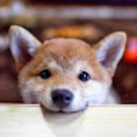 hmhrzg.png?1766221232