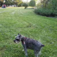 zknxpq.png?1766370078