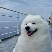 tbfjgn.png?1775220252