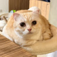 ugbvee.png?1766734802