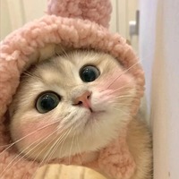 xfekdg.png?1767101186