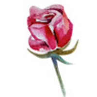 hpzypl.png?1767563175