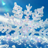 zaalvr.png?1767622597