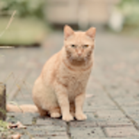 ngxdew.png?1767901276