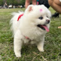 ngcbxa.png?1768120760