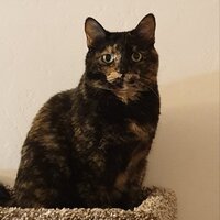 jdrkzu.png?1768186186