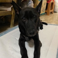 gnkvjo.png?1768464847