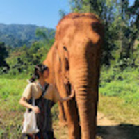 mflezc.png?1768580164