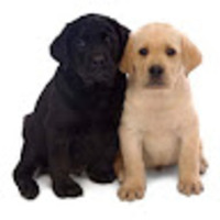 ctoxai.png?1769097834