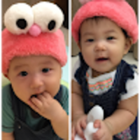 fazgpo.png?1769137708