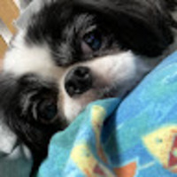 mllmmz.png?1769302110