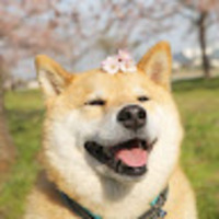 gwdqsu.png?1769763153