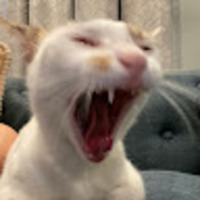 nbtjad.png?1770026347
