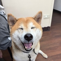 axrurp.png?1770256451