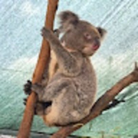 moxwkj.png?1770566091