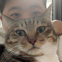 cjgsbr.png?1779981039