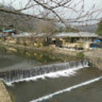 yvlftz.png?1772120849