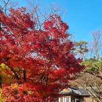 vsvdkh.png?1772184073