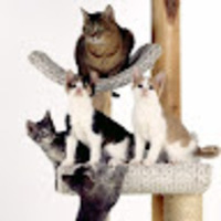 nravbc.png?1772703483