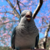 rmewsn.png?1774985309