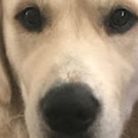 idoqdf.png?1775201182