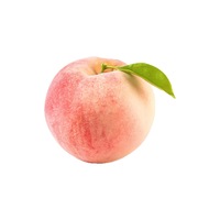 ajvjem.png?1775497573